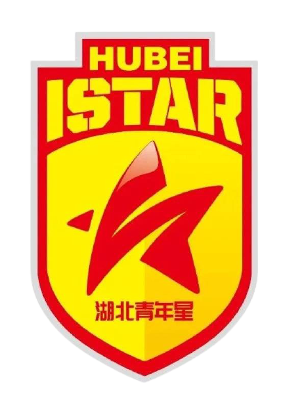 湖北青年星 队徽